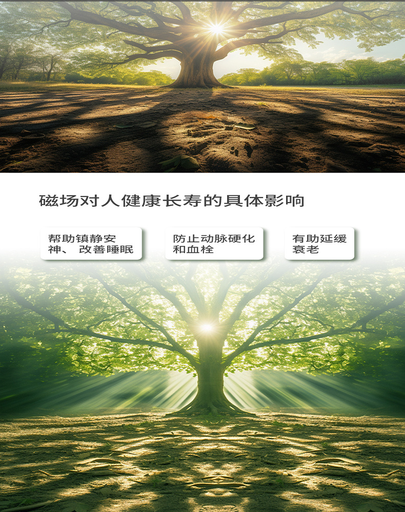 `Youborui | Hydrogen Health & Terahertz Wellness Equipment Manufacturer` | P91A Terahertz Magnetic Device | Professional Health Equipment