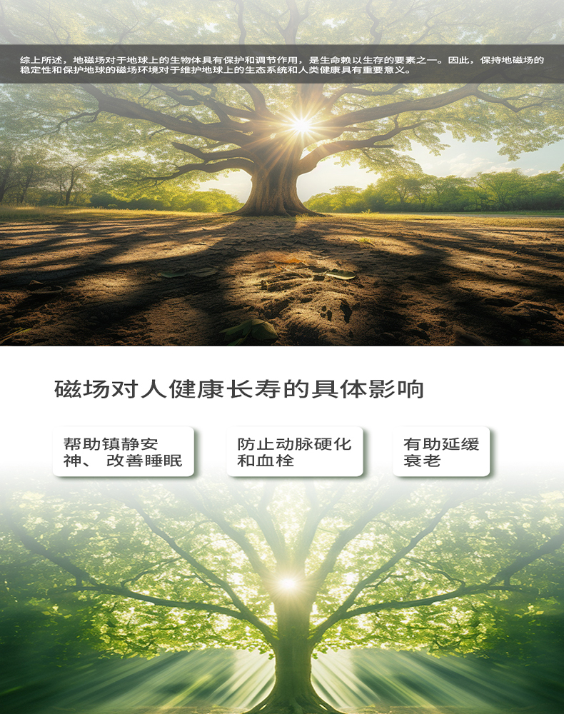 `Youborui | Hydrogen Health & Terahertz Wellness Equipment Manufacturer` | P91C Portable Terahertz Device | Professional Health Equipment