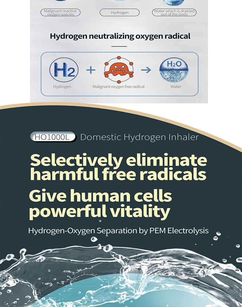 `Youborui | Hydrogen Health & Terahertz Wellness Equipment Manufacturer` | HO1000L Hydrogen Oxygen System | CE FDA Certified