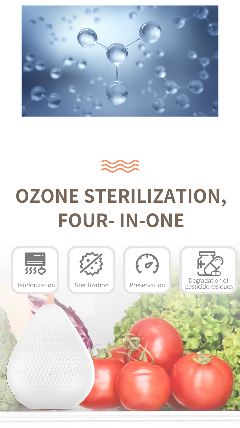 Hydrogen Therapy Machine Manufacturer & Wellness Equipment OEM Supplier | Youborui | Odour eliminator and ozone generator-S1