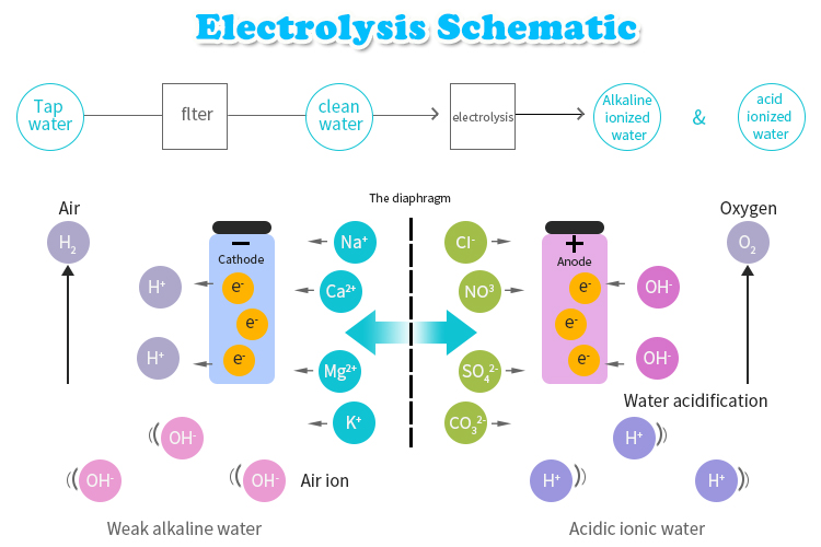 Hydrogen Therapy Machine Manufacturer & Wellness Equipment OEM Supplier | Youborui | Hydrogen Water Machine H3
