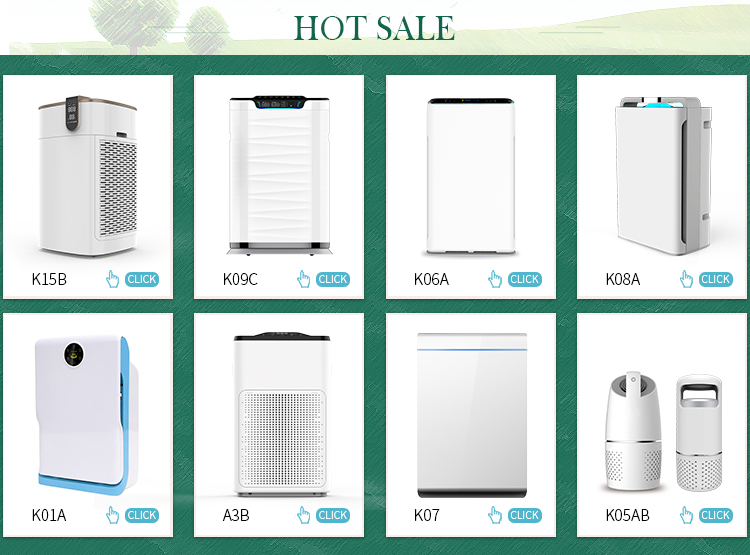 Hydrogen Therapy Machine Manufacturer & Wellness Equipment OEM Supplier | Youborui | Car air purifier K05B